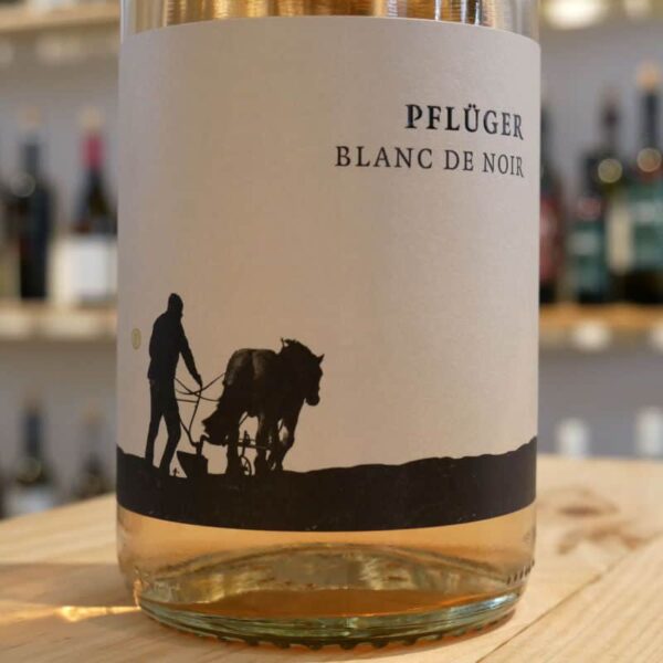 Blanc de Noir trocken von Weingut Pflüger – 9er Bundle