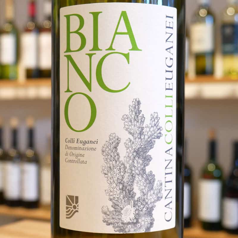Bianco DOC von Cantina Colli Euganei